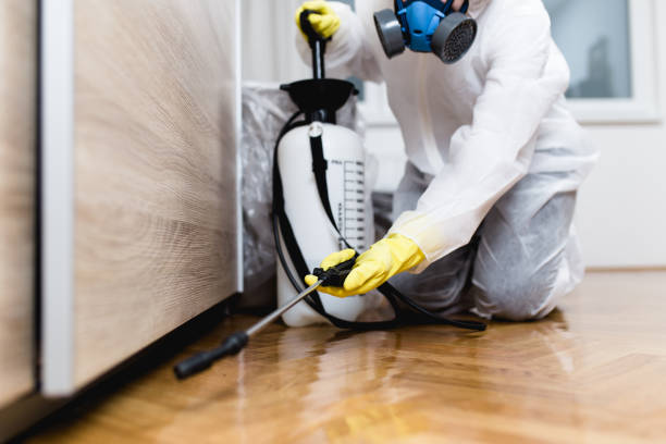 Flea Control Services in Slocom, AL