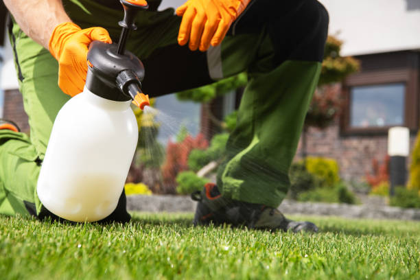 Best Flea Control Services  in Slocom, AL