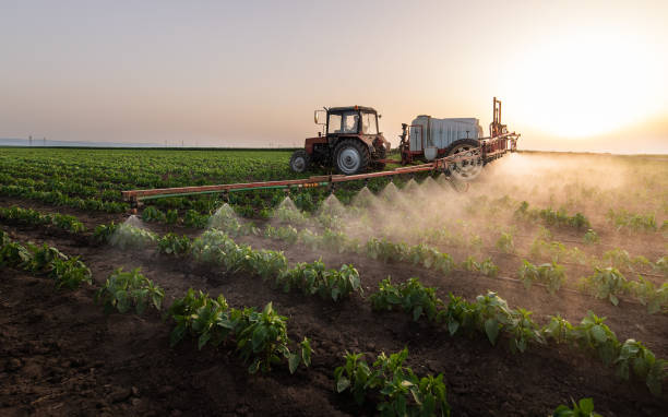 Best Commercial Pest Control Services  in Slocom, AL