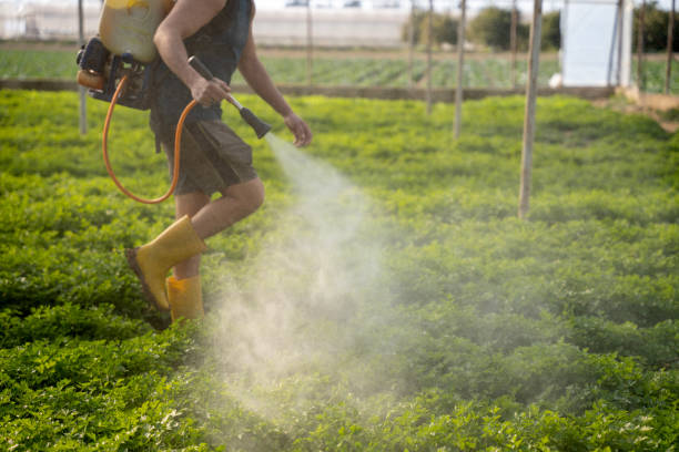 Best Pest Control Cost  in Slocom, AL