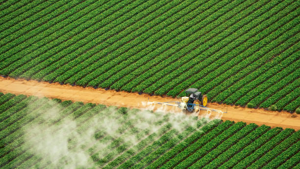 Best Pest Prevention Services  in Slocom, AL