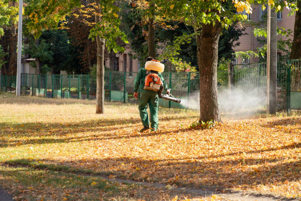 Best Best Pest Control Companies  in Slocom, AL