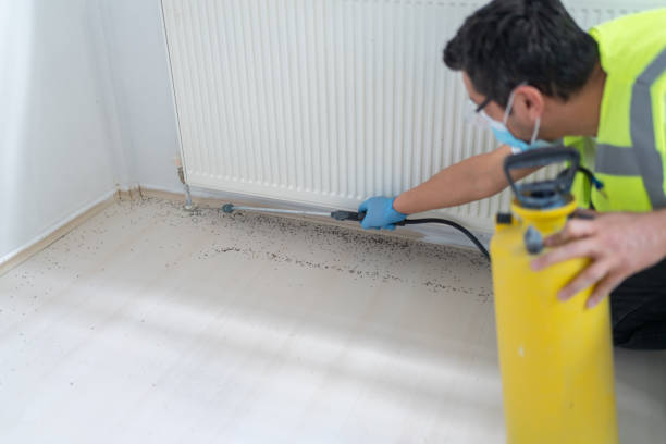 Best Exterminator Services  in Slocom, AL