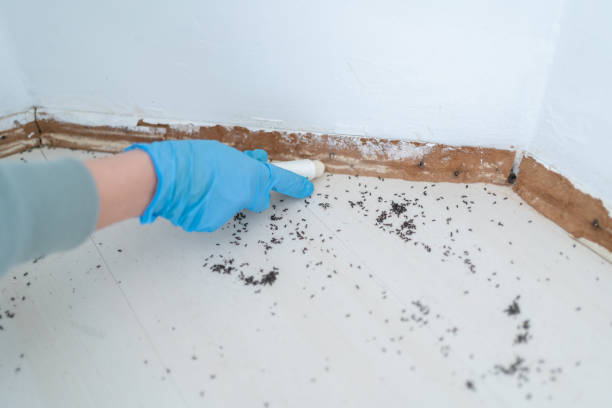 Best Wildlife Control Services  in Slocom, AL