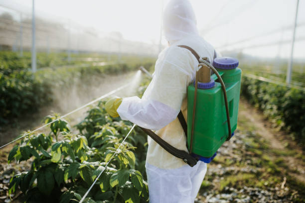 Best Pest Control Near Me  in Slocom, AL